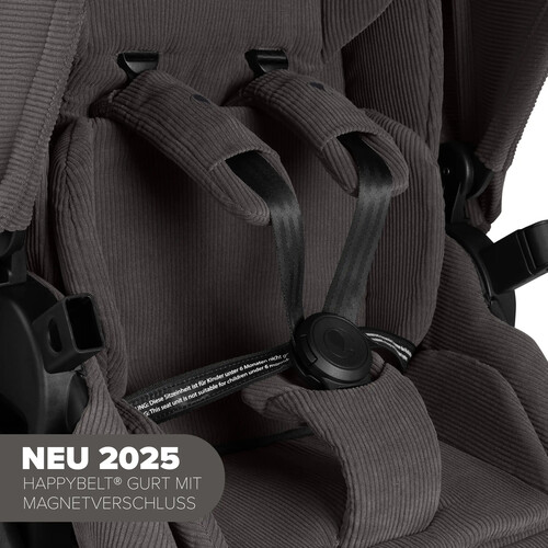 Passeggino 2 in 1 Stroller Salsa 5 Air - Almond 