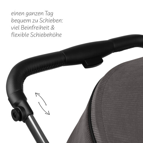 Passeggino 2 in 1 Stroller Salsa 5 Air - Almond 
