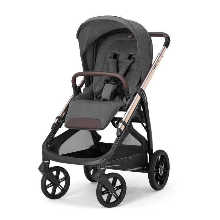Inglesina Aptica System Quattro 4-in-1 Kinderwagen mit Darwin Infant Recline Autositz 